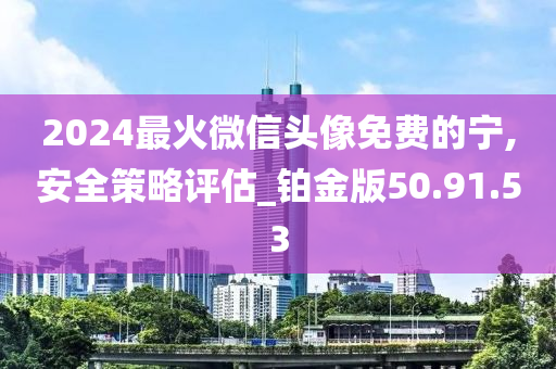 2024最火微信头像免费的宁,安全策略评估_铂金版50.91.53