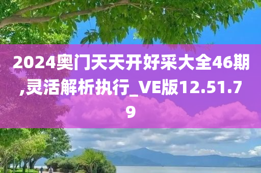 2024奥门天天开好采大全46期,灵活解析执行_VE版12.51.79