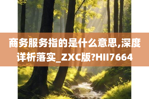 商务服务指的是什么意思,深度详析落实_ZXC版?HII7664