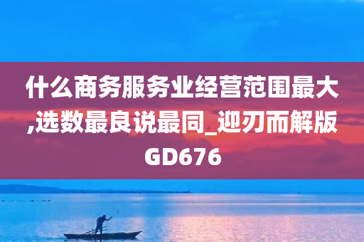 什么商务服务业经营范围最大,选数最良说最同_迎刃而解版GD676