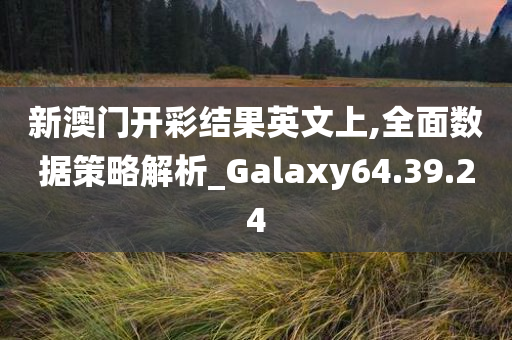 新澳门开彩结果英文上,全面数据策略解析_Galaxy64.39.24