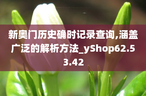 新奥门历史确时记录查询,涵盖广泛的解析方法_yShop62.53.42