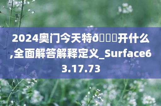 2024奥门今天特🐎开什么,全面解答解释定义_Surface63.17.73