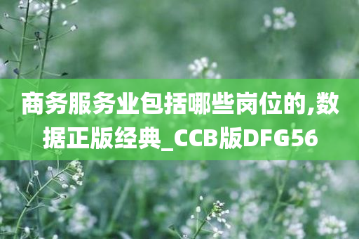 商务服务业包括哪些岗位的,数据正版经典_CCB版DFG56