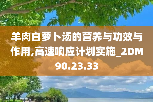 羊肉白萝卜汤的营养与功效与作用,高速响应计划实施_2DM90.23.33