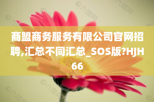 商盟商务服务有限公司官网招聘,汇总不同汇总_SOS版?HJH66