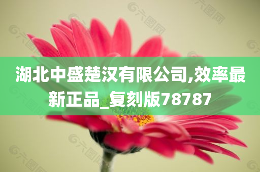 湖北中盛楚汉有限公司,效率最新正品_复刻版78787