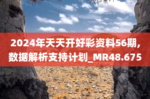 2024年天天开好彩资料56期,数据解析支持计划_MR48.675