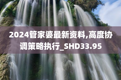 2024管家婆最新资料,高度协调策略执行_SHD33.95