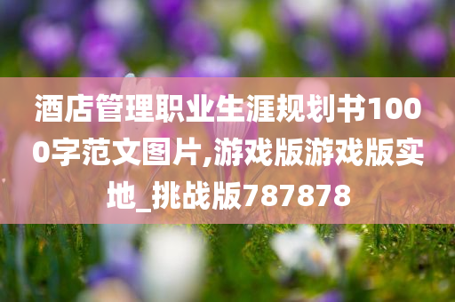 酒店管理职业生涯规划书1000字范文图片,游戏版游戏版实地_挑战版787878