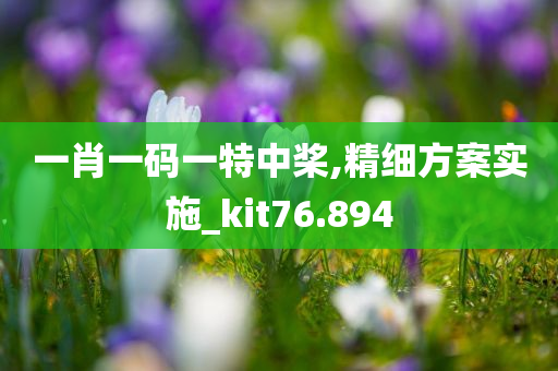 一肖一码一特中桨,精细方案实施_kit76.894