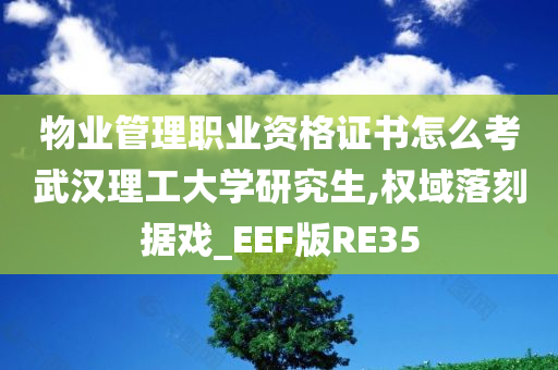 物业管理职业资格证书怎么考武汉理工大学研究生,权域落刻据戏_EEF版RE35