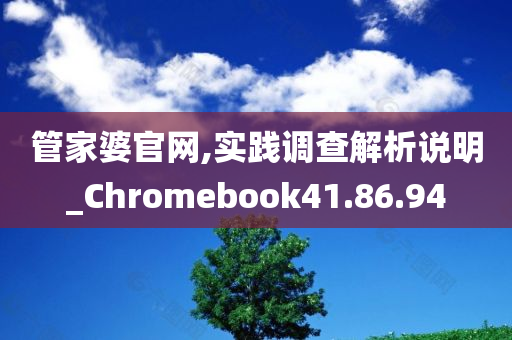 管家婆官网,实践调查解析说明_Chromebook41.86.94