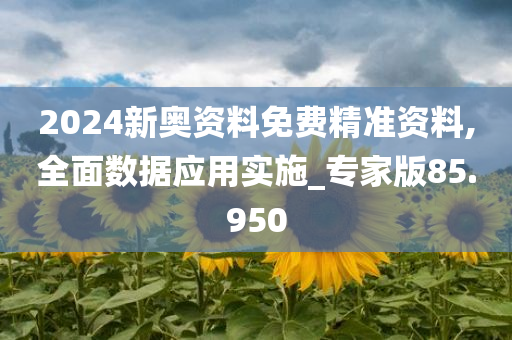 2024新奥资料免费精准资料,全面数据应用实施_专家版85.950