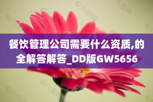 餐饮管理公司需要什么资质,的全解答解答_DD版GW5656