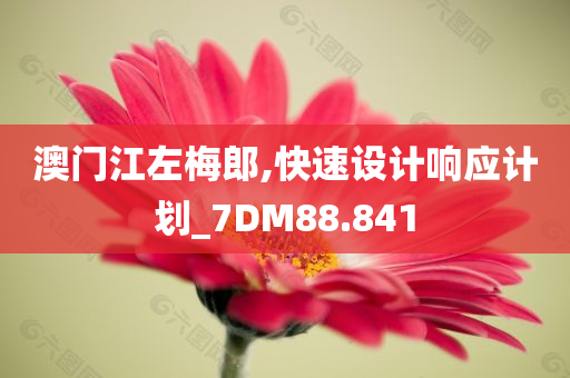 澳门江左梅郎,快速设计响应计划_7DM88.841