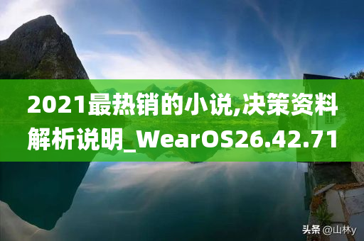 2021最热销的小说,决策资料解析说明_WearOS26.42.71