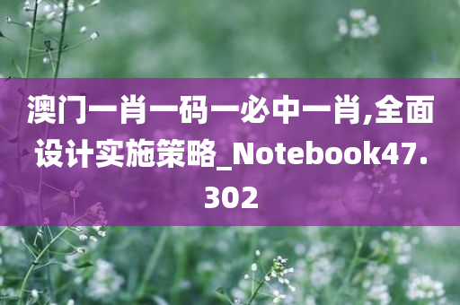 澳门一肖一码一必中一肖,全面设计实施策略_Notebook47.302