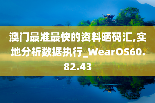 澳门最准最快的资料晒码汇,实地分析数据执行_WearOS60.82.43