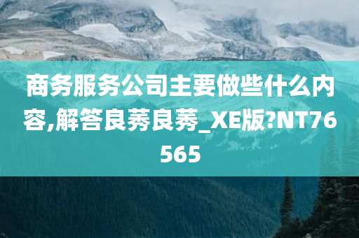 商务服务公司主要做些什么内容,解答良莠良莠_XE版?NT76565