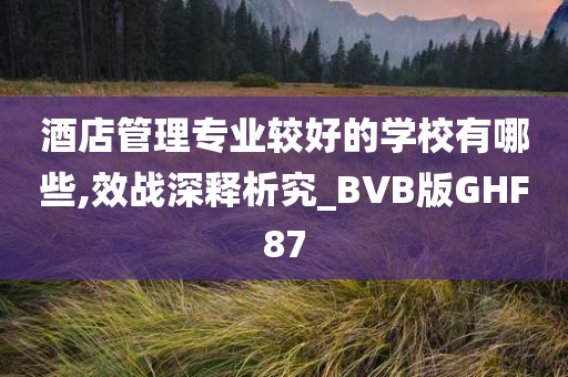 酒店管理专业较好的学校有哪些,效战深释析究_BVB版GHF87