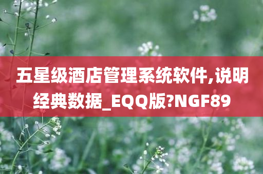 五星级酒店管理系统软件,说明经典数据_EQQ版?NGF89