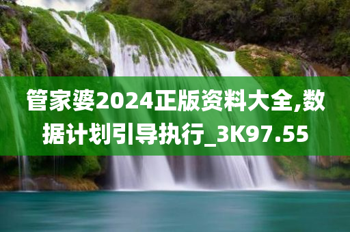 管家婆2024正版资料大全,数据计划引导执行_3K97.55