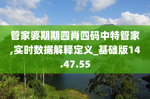 管家婆期期四肖四码中特管家,实时数据解释定义_基础版14.47.55