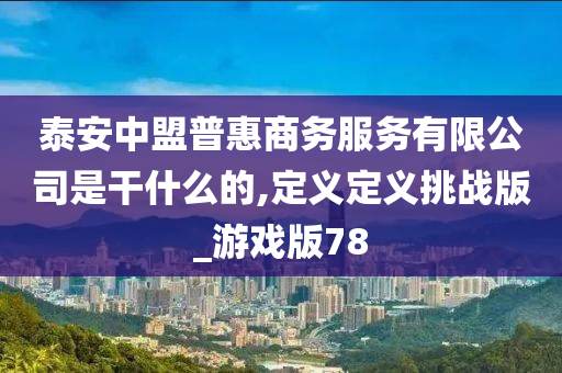 泰安中盟普惠商务服务有限公司是干什么的,定义定义挑战版_游戏版78