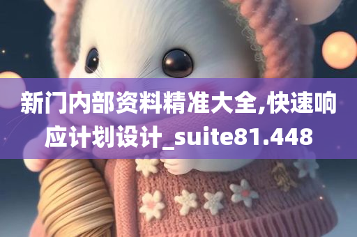 新门内部资料精准大全,快速响应计划设计_suite81.448