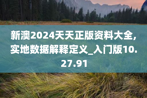 新澳2024天天正版资料大全,实地数据解释定义_入门版10.27.91