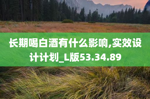 长期喝白酒有什么影响,实效设计计划_L版53.34.89