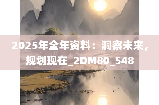 2025年全年资料：洞察未来，规划现在_2DM80_548