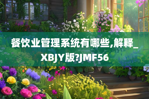 餐饮业管理系统有哪些,解释_XBJY版?JMF56