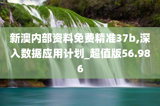 新澳内部资料免费精准37b,深入数据应用计划_超值版56.986