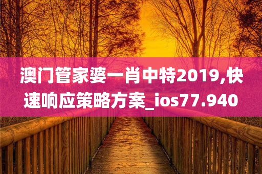 澳门管家婆一肖中特2019,快速响应策略方案_ios77.940