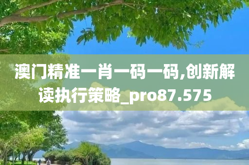 澳门精准一肖一码一码,创新解读执行策略_pro87.575