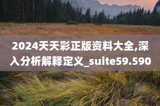 2024天天彩正版资料大全,深入分析解释定义_suite59.590