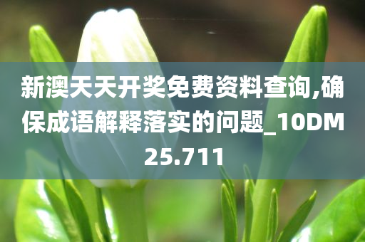 新澳天天开奖免费资料查询,确保成语解释落实的问题_10DM25.711