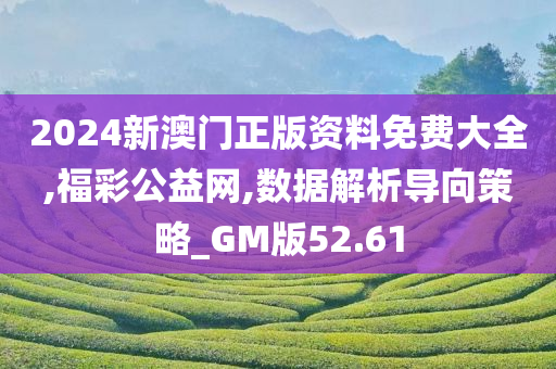 2024新澳门正版资料免费大全,福彩公益网,数据解析导向策略_GM版52.61