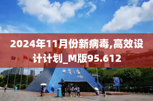 2024年11月份新病毒,高效设计计划_M版95.612