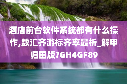 酒店前台软件系统都有什么操作,数汇齐游标齐率最析_解甲归田版?GH4GF89