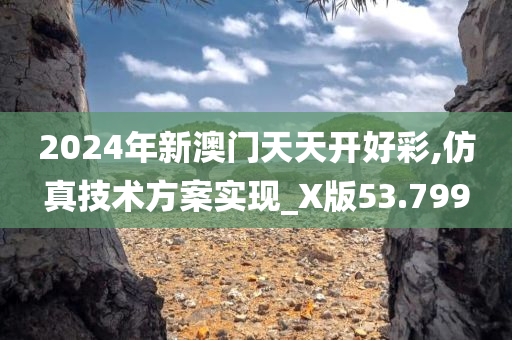 2024年新澳门天天开好彩,仿真技术方案实现_X版53.799