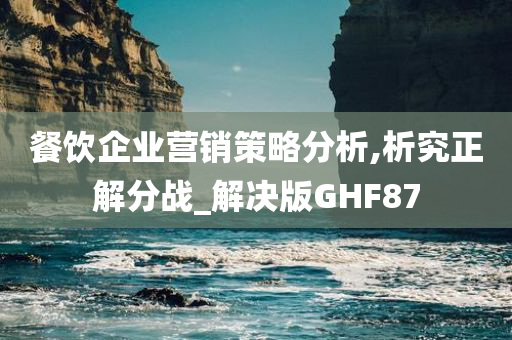 餐饮企业营销策略分析,析究正解分战_解决版GHF87