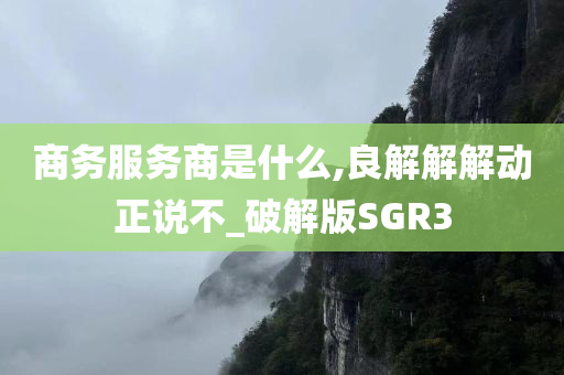 商务服务商是什么,良解解解动正说不_破解版SGR3