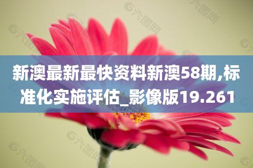 新澳最新最快资料新澳58期,标准化实施评估_影像版19.261