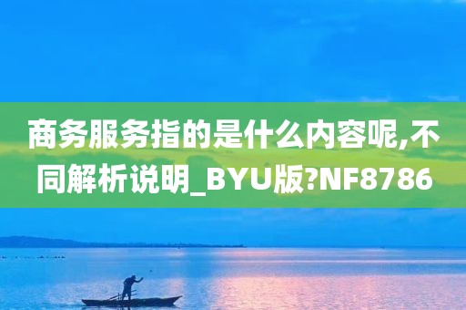 商务服务指的是什么内容呢,不同解析说明_BYU版?NF8786