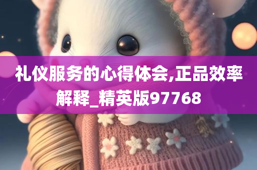 礼仪服务的心得体会,正品效率解释_精英版97768