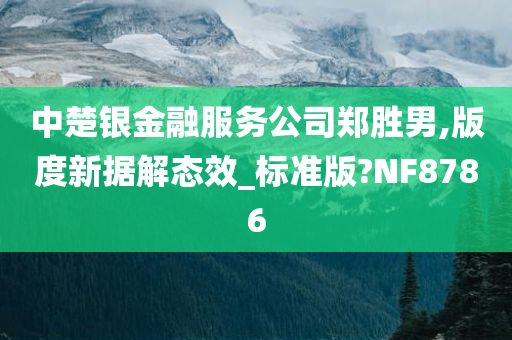 中楚银金融服务公司郑胜男,版度新据解态效_标准版?NF8786