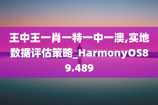 王中王一肖一特一中一澳,实地数据评估策略_HarmonyOS89.489